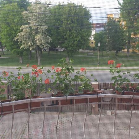 Hotel Casa Maia Turda Zewnętrze zdjęcie