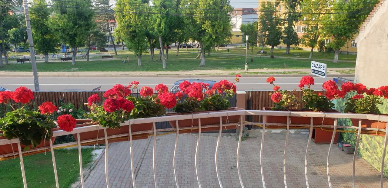 Hotel Casa Maia Turda Zewnętrze zdjęcie