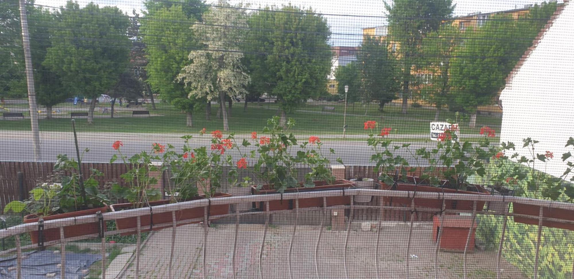 Hotel Casa Maia Turda Zewnętrze zdjęcie